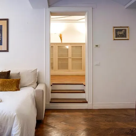 Cardinalmorone Modena